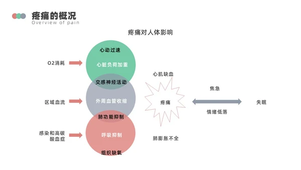 浅绿色简约围手术期疼痛管理ppt模板
