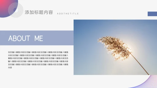 个人求职简历通用PPT模板