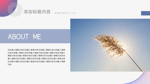 个人求职简历通用PPT模板