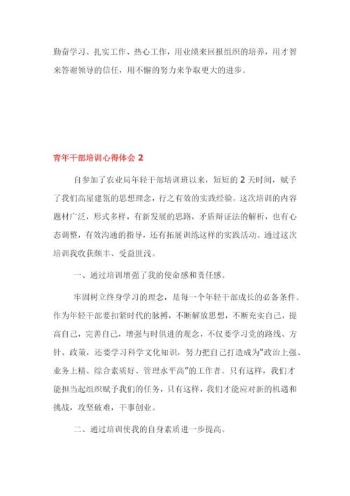 青年干部培训心得体会3篇.docx