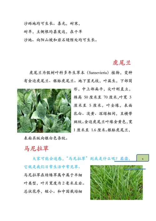 七年级上册生物学校园生物种类调查分析报告.docx