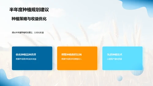 农业收益优化策略