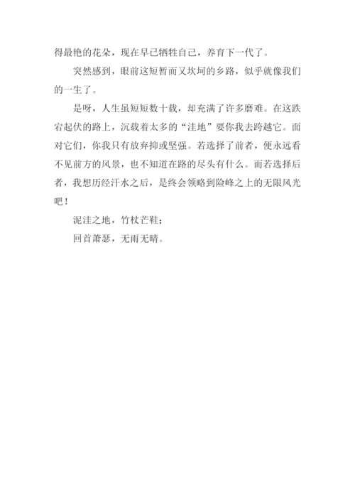 乡路作文800字-10.docx