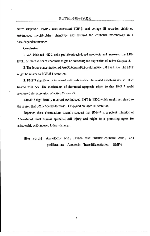 bmp7对马兜铃酸致人肾小管上皮细胞损伤的保护作用研究