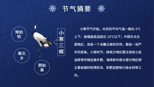 小寒节气介绍蓝色通用PPT模板