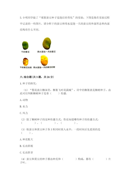 科学四年级下册第一单元《植物的生长变化》测试卷（研优卷）.docx