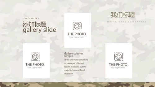 武警工作总结动态PPT