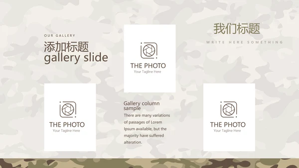 武警工作总结动态PPT