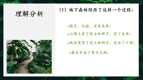 地下森林作家张抗抗作品解读PPT课件