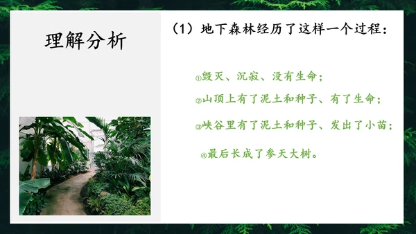 地下森林作家张抗抗作品解读PPT课件