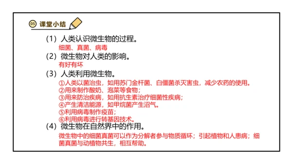 人教版生物八上 5.6 微生物与人类、自然界的关系(共29张PPT)