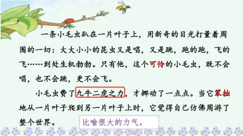 22小毛虫  课件