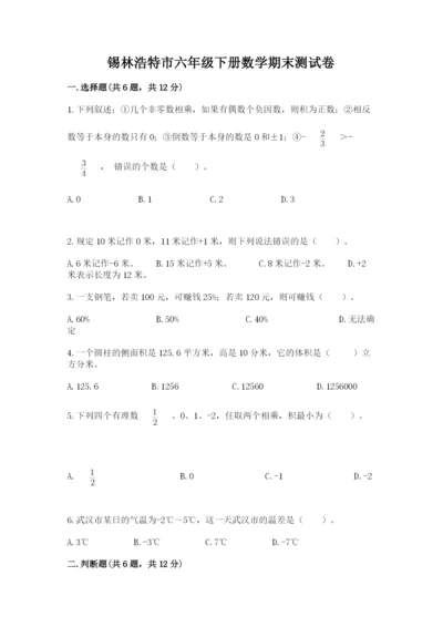 锡林浩特市六年级下册数学期末测试卷带答案.docx