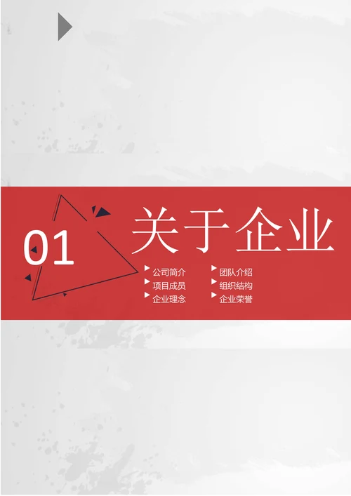 欧美商务风企业介绍产品宣传手册
