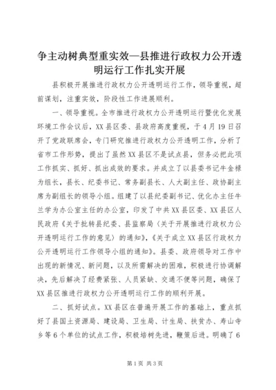 争主动树典型重实效—县推进行政权力公开透明运行工作扎实开展.docx