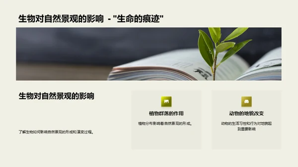 自然景观的奥秘