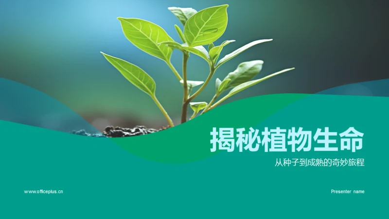 揭秘植物生命