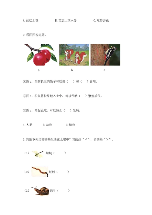 教科版科学二年级上册第二单元《材料》测试卷（典优）