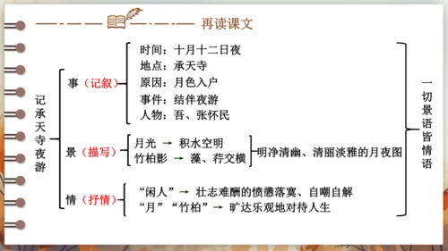 11 短文二篇 课件-2024-2025学年语文部编版八年级上册