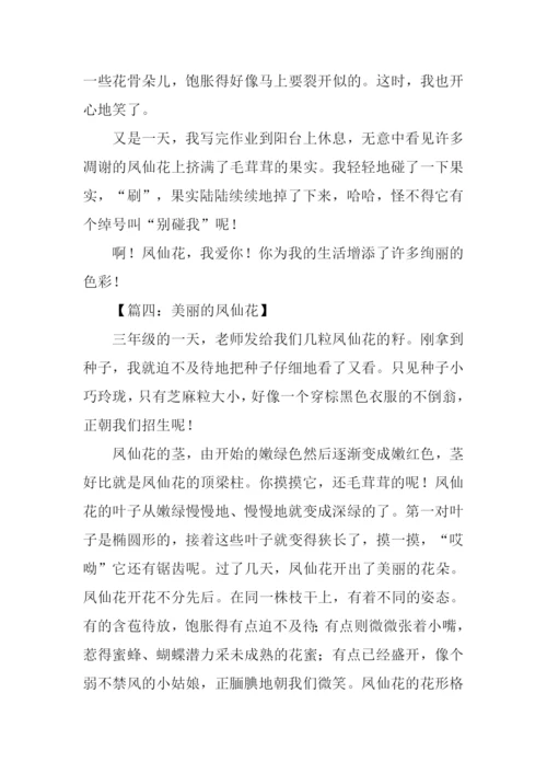 美丽的凤仙花作文.docx