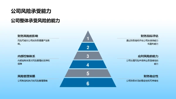 财务风险与优化控制