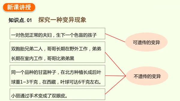 7.2.5生物的变异-八年级生物人教版下学期同步精品课件(共34张PPT)