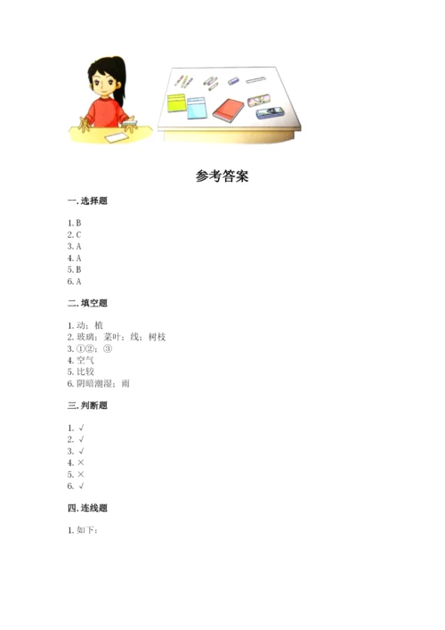 教科版小学科学一年级下册期末测试卷含完整答案【全国通用】.docx