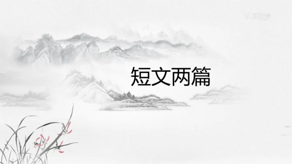 第17课  短文两篇 课件(共39张PPT)