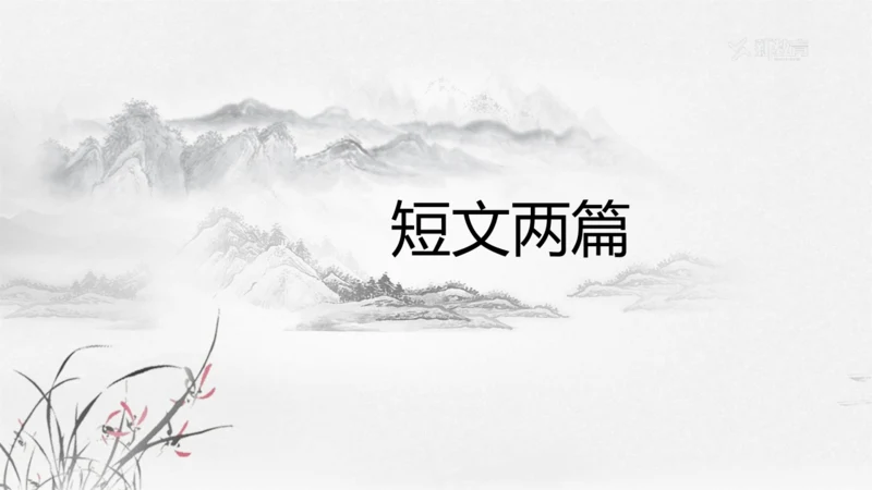 第17课  短文两篇 课件(共39张PPT)