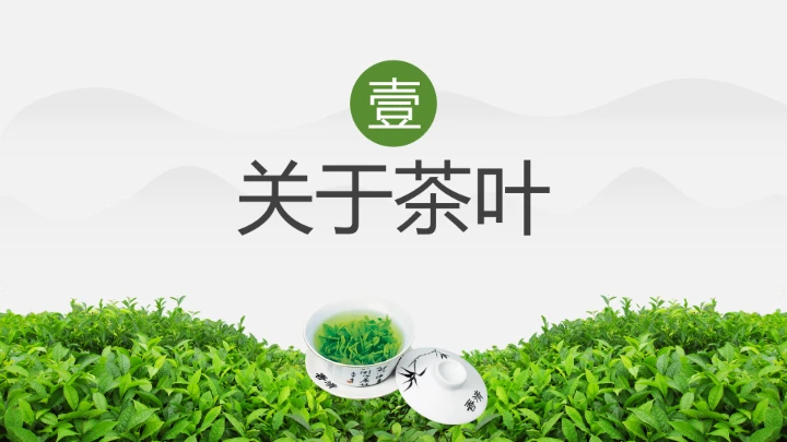 茶叶的故事 中国传统茶文化介绍主题班会课件
