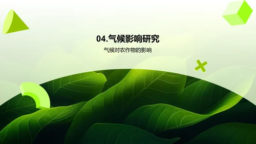 小满节气解析PPT模板