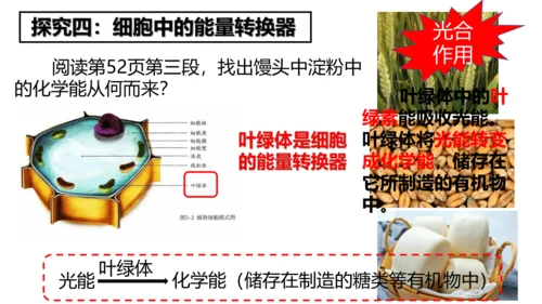 2.1.4细胞的生活课件2023--2024学年人教版生物七年级上册(共34张PPT)