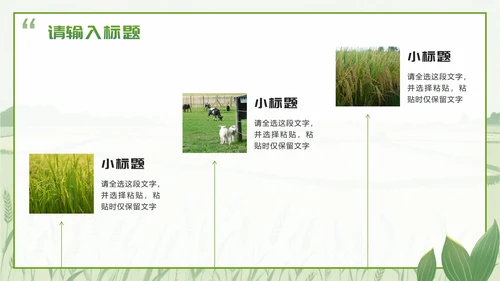 绿色简约实景我的家乡乡村旅游相册介绍PPT模板
