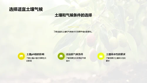 油果种植之全方位解析