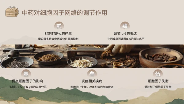 浅棕色中国风中医药对免疫系统调节PPT