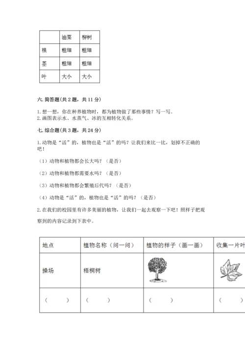 教科版科学一年级上册第一单元《植物》测试卷精品【完整版】.docx