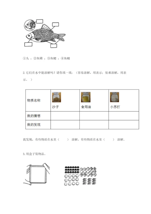 教科版一年级下册科学期末测试卷及完整答案.docx