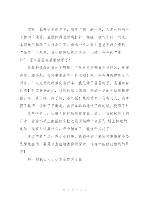 那一刻我长大了小学生作文5篇.docx