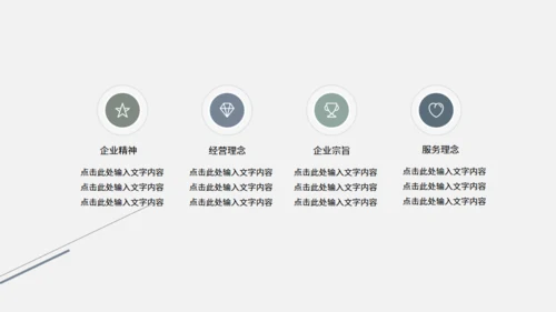 极简设计产品宣传海鸟通用PPT模板