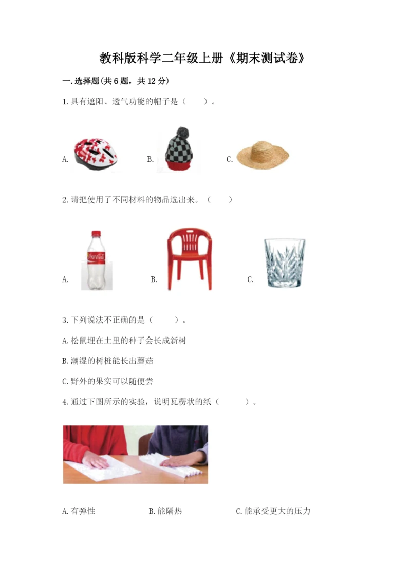 教科版科学二年级上册《期末测试卷》精品（有一套）.docx