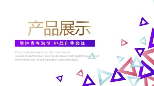 创意几何三角形大气公司产品介绍宣传通用PPT