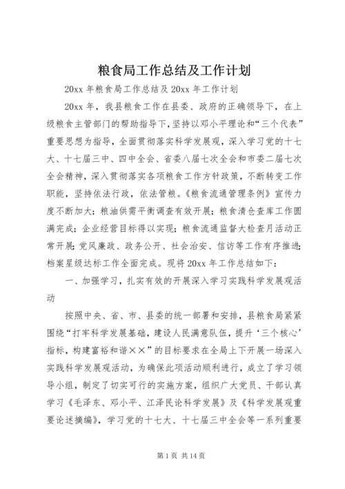 粮食局工作总结及工作计划.docx