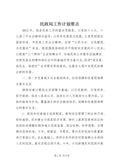 民政局工作计划要点.docx