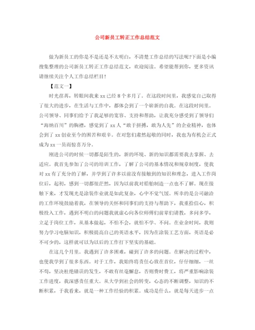 精编之公司新员工转正工作总结范文.docx