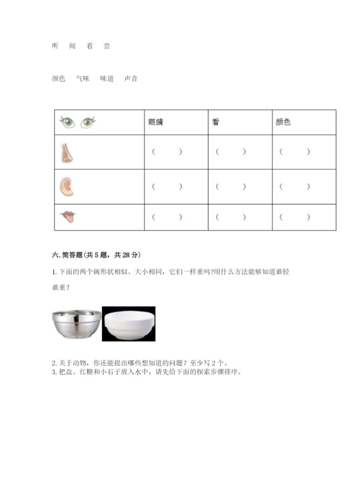 教科版一年级下册科学期末测试卷及参考答案（综合题）.docx