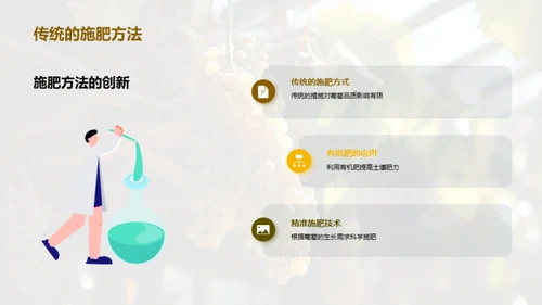 葡萄种植的创新之路