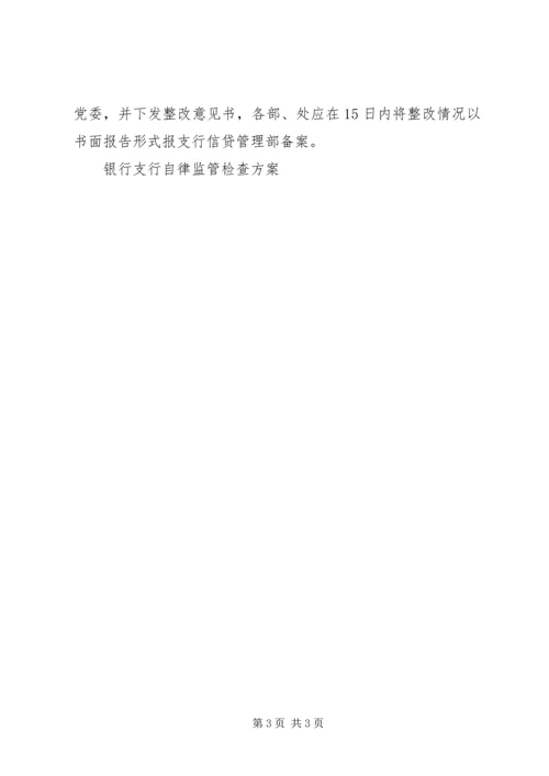 银行支行自律监管检查方案 (4).docx