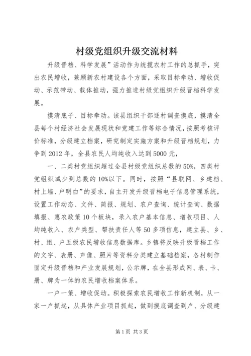 村级党组织升级交流材料.docx