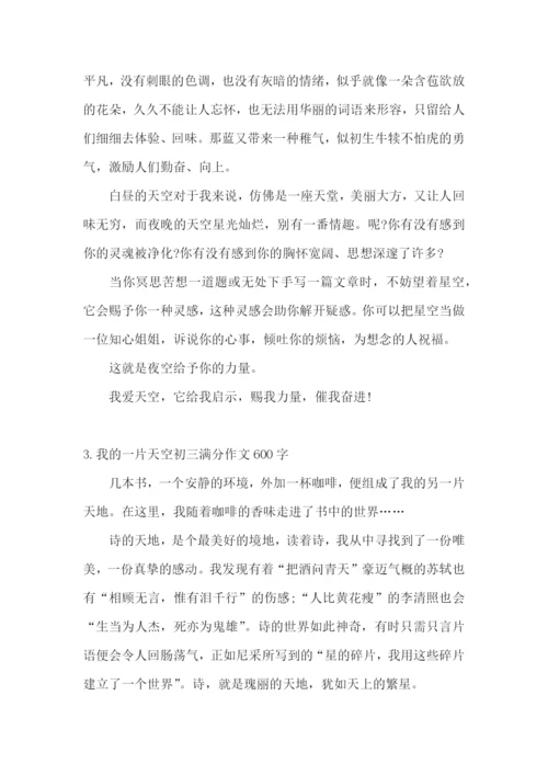 我的一片天空初三满分作文600字5篇.docx