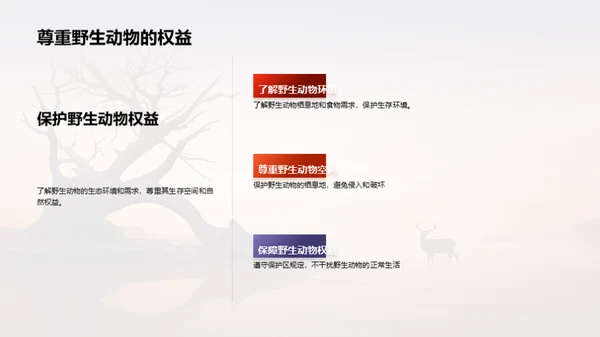 简约风其他行业教学课件PPT模板